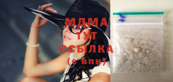 шишки Бородино