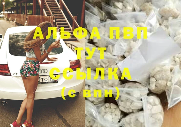 шишки Бородино