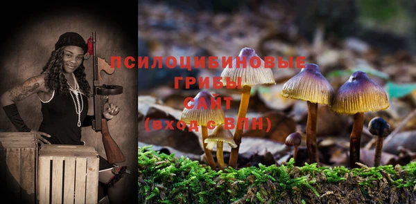 шишки Бородино