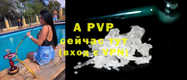 шишки Бородино